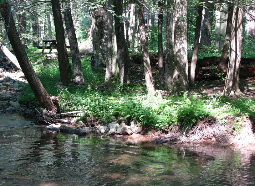Fowlers Hollow State Park, Pennsylvania, USA